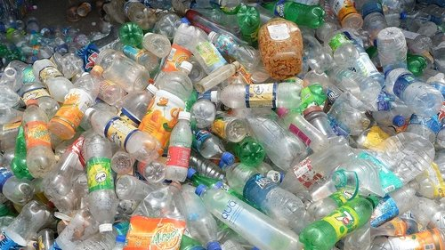 Biodegradable Plastics Market'
