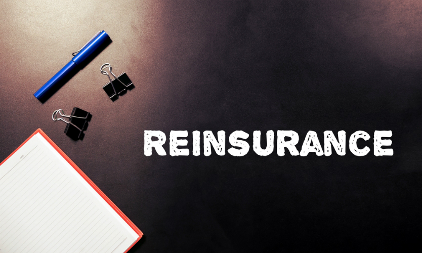 Reinsurance Market