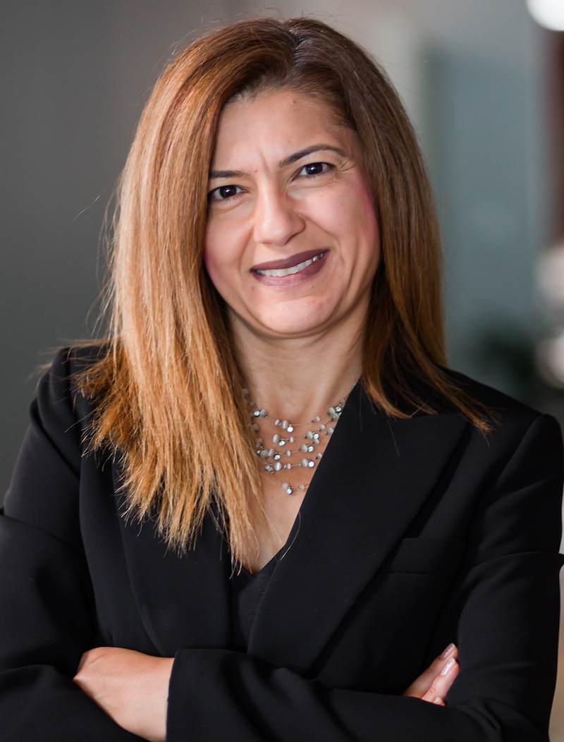 auto fraud attorney pauliana lara'