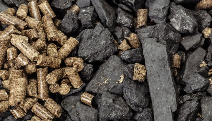 Biomass Charcoal Market'