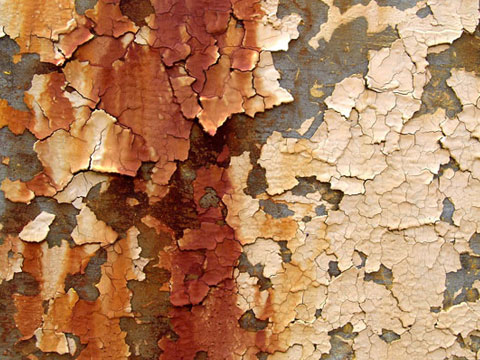 asbestos-lead-removal-irvine'