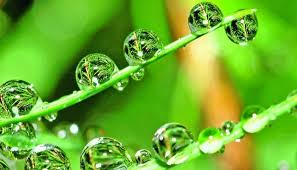 Bio-based Butanol Market