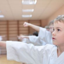 Karate Classes'