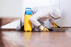 Pest Control Services'