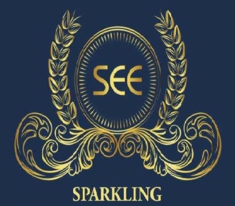 Best wedding planner in Jaipur'