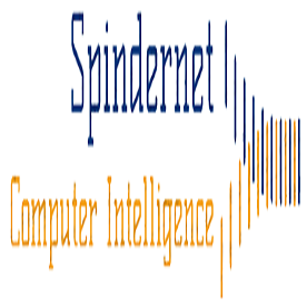 Spindernet IT Solutions'