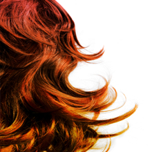 Glam Dominican Salon