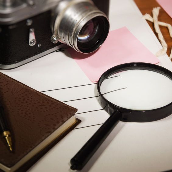 Private Investigator'