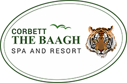 Company Logo For corbettthebaagh'