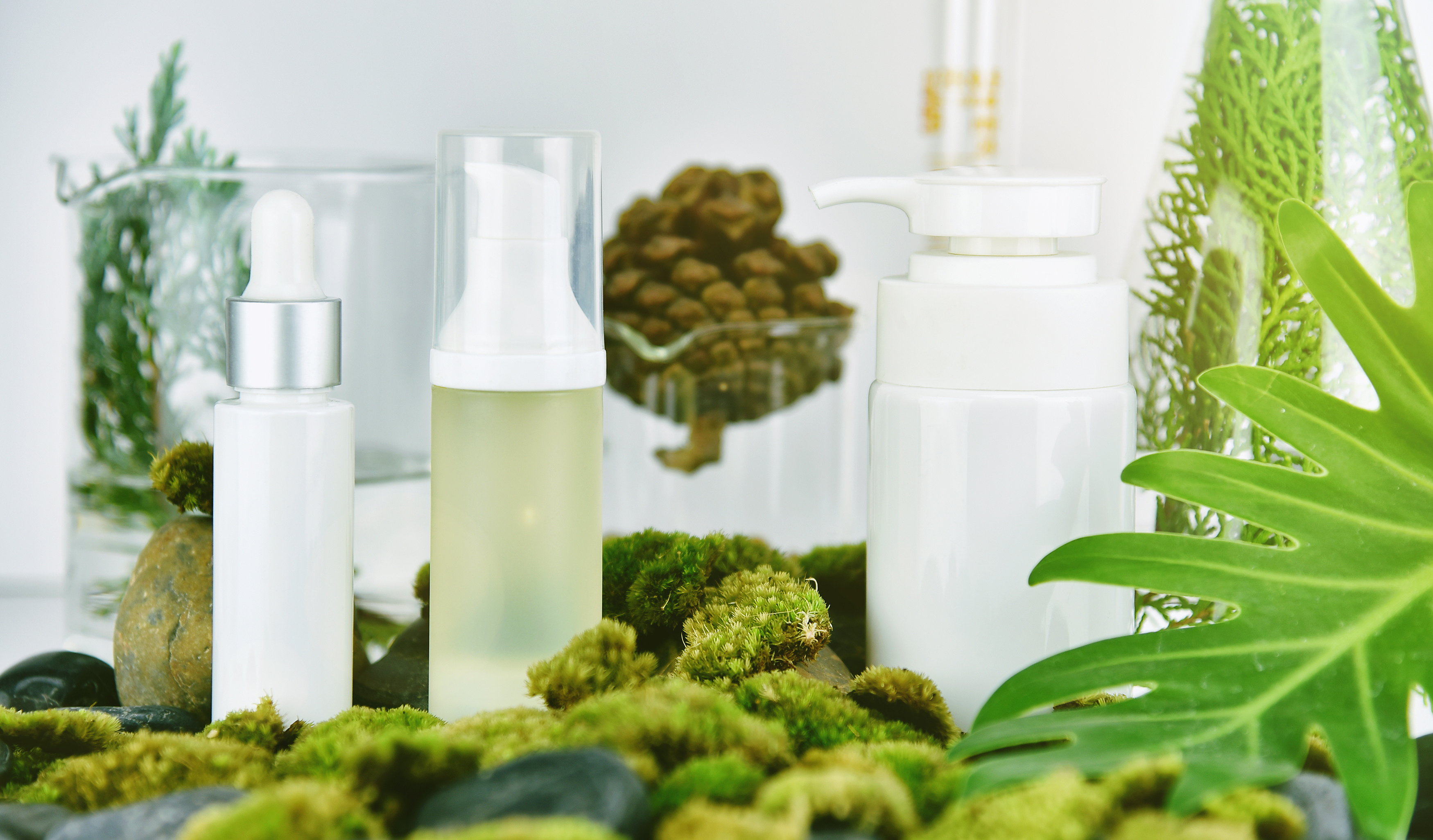 Organic Cosmetics Market