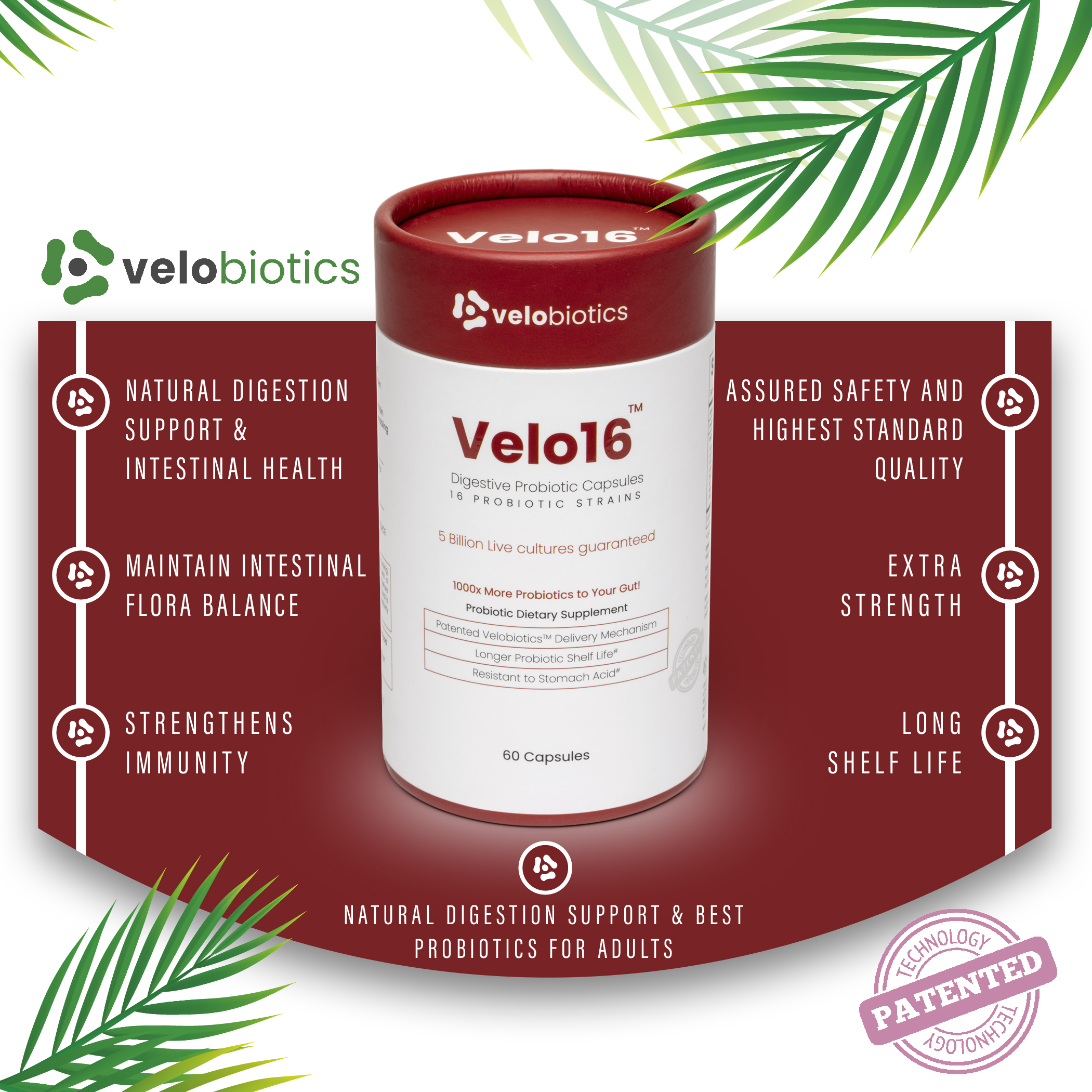 Velo16 - Health Benefits of using probiotics'