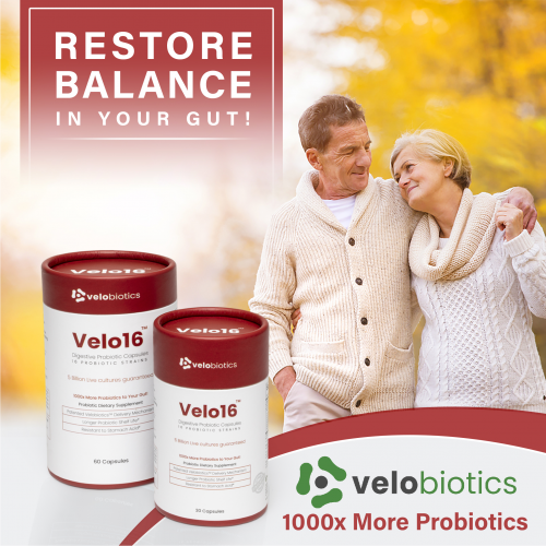 Velo16 - Restore your gut balance'