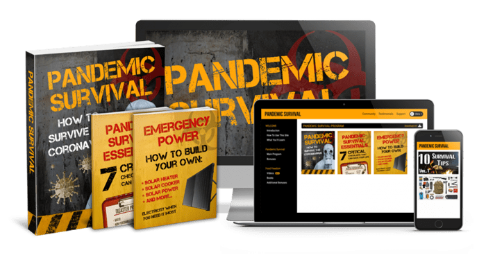 pandemic survival review'