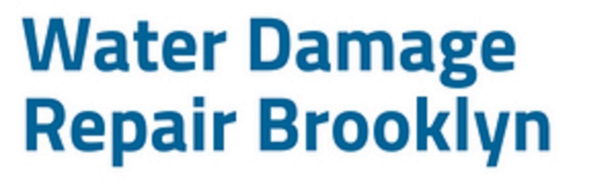 Company Logo For Water Damage Repair Brooklyn'