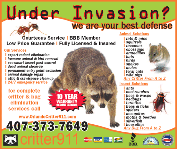 rat control companies in Orlando
