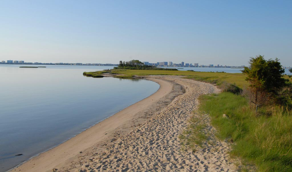 fenwick island homes