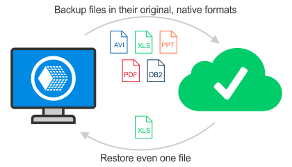 Backup Restore Software Market to witness Massive Growth by'