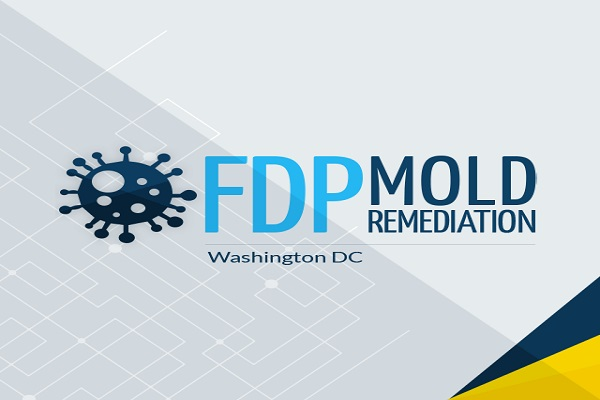 Company Logo For FDP Mold Remediation'