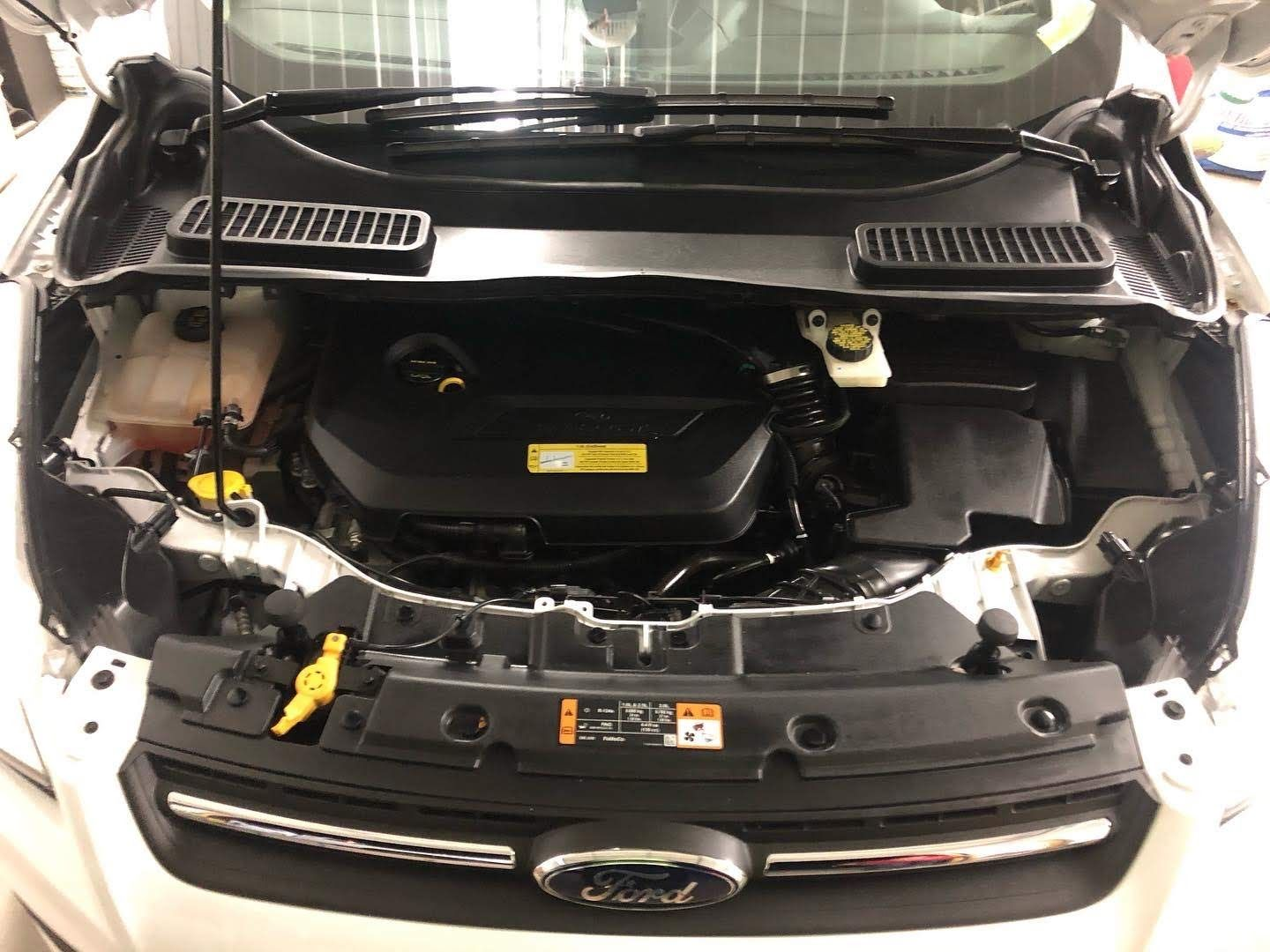 Family First Detailing Logo