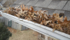 gutter cleaning services river nj