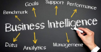 Business Intelligence Consulting Provider Services Market