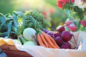 Prebiotic Food