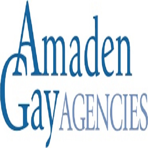 Company Logo For Amaden Gay Agencies'