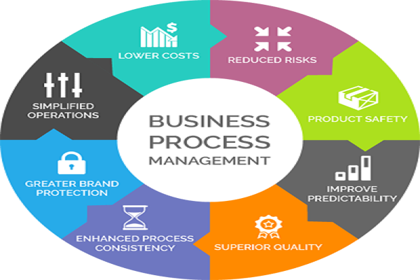 Business Process Management (BPM) Market'