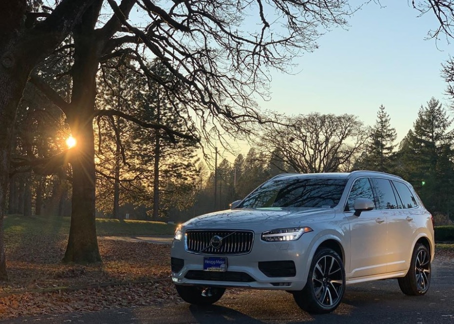 Herzog-Meier Volvo Cars Logo