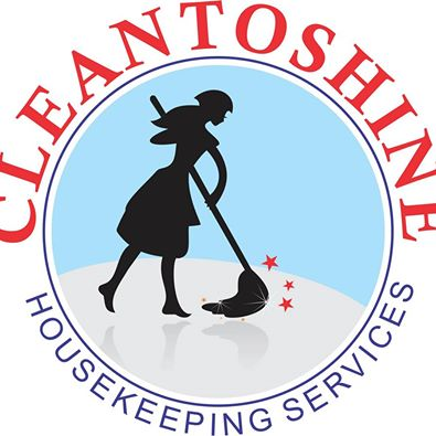 Company Logo For Clean to Shine'