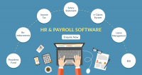 Payroll and HR Software Market