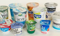 Sugar-free Yogurt Market