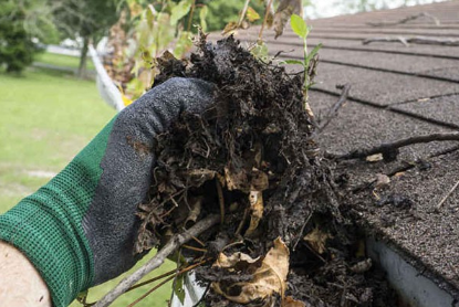 Company Logo For Gutter Cleaning Service Buffalo MN'