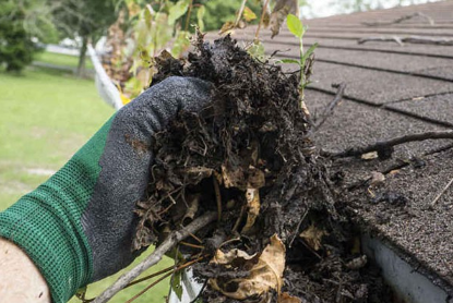 Gutter Cleaning Service Buffalo MN Logo