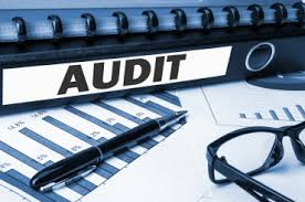 Customs Audit'