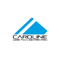 Card Line Electronics LLC Logo