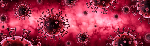 Coronavirus Pandemic'