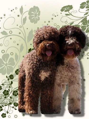 Lagotto Trainer Logo