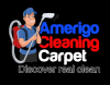 Company Logo For Carpet Cleaning Herndon'