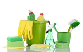 Household Green Cleaning Products Market