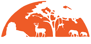 Company Logo For The Jollity Box'