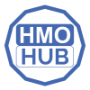 Company Logo For HMO Hub'