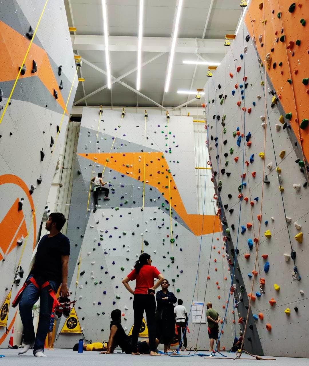 Climbing Gym'