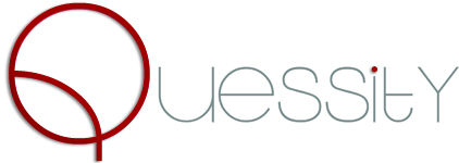 Company Logo For Quessity'