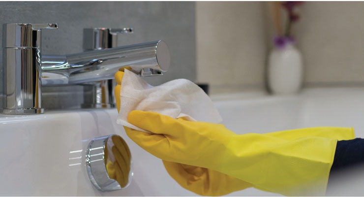 Household Wipes Market'