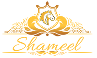 Company Logo For Shameel Khan'
