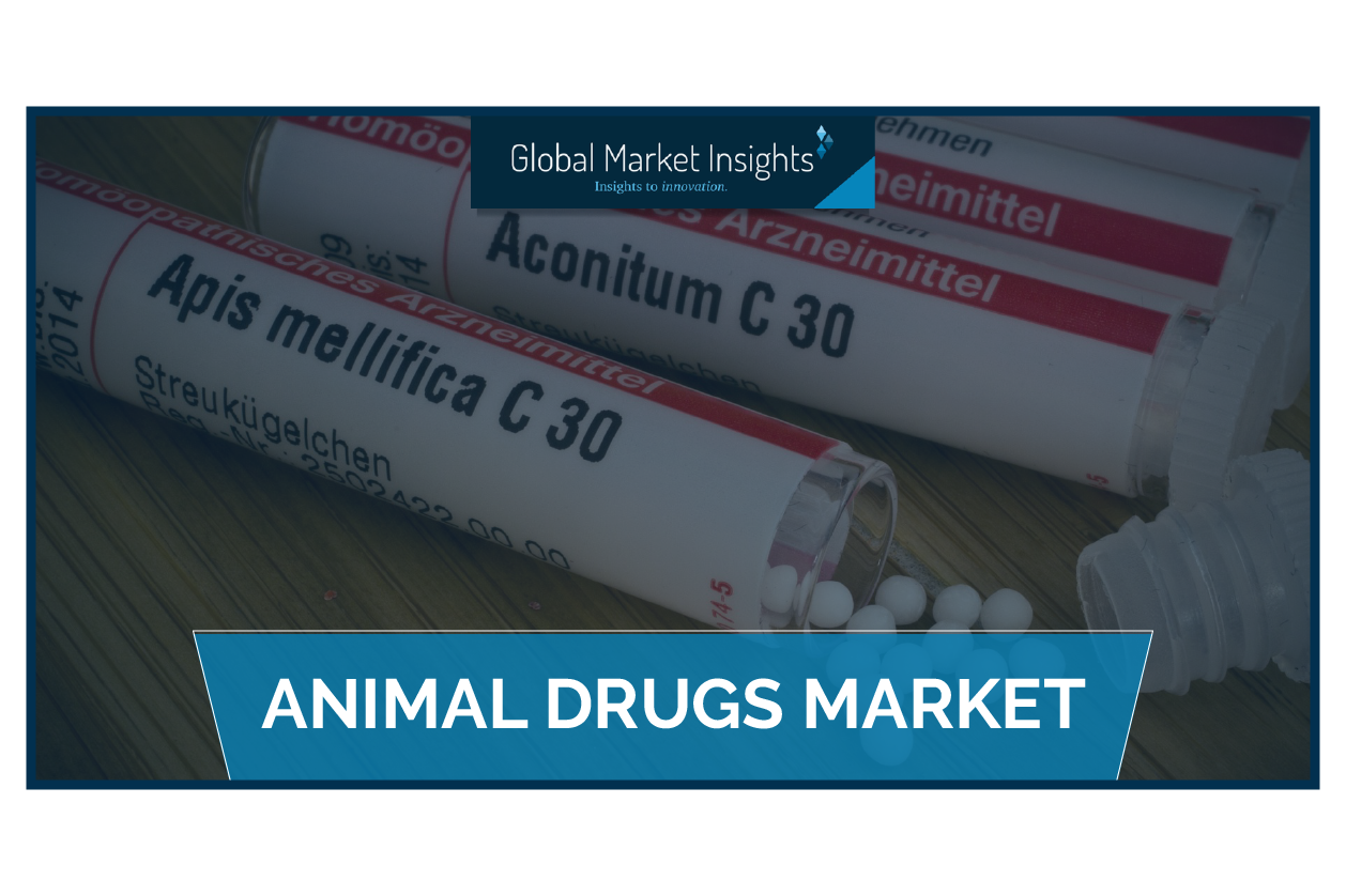 Animal Drugs Market'