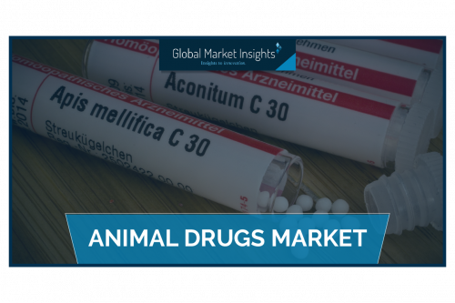 Animal Drugs Market'