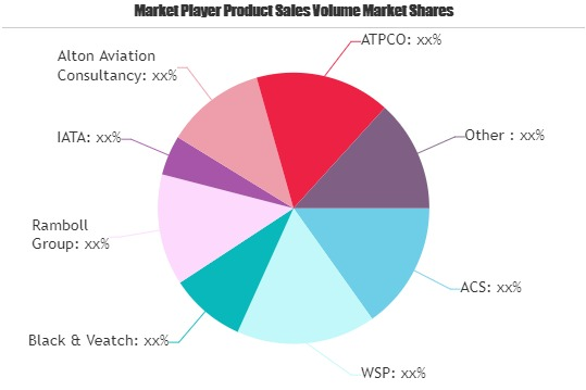 Aviation Consulting Service Market'