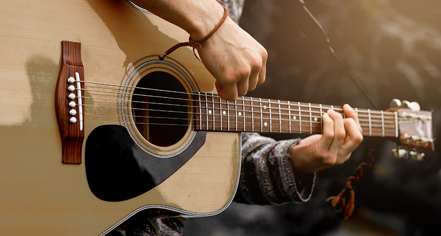 Guitars Market